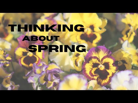Thinking about Spring