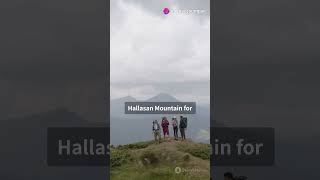 3 travel destinations in Korea recommended by AI #TraveltoKorea #RecommendedTravelPlaces #Travel