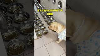 He Got Unlimited Food😱