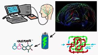 Human Brain Vs Computer  English