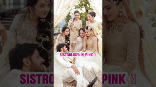 Sistrology In Pink Color 💕#reviewchannel #youtubeshorts #shortsfeed