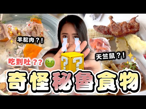 🔥超狂秘魯傳統餐點🔥天竺鼠、羊駝肉、檸檬醃生魚！你敢吃嗎?🤯【親南其境-南美#2】| 南南 LAMLAM