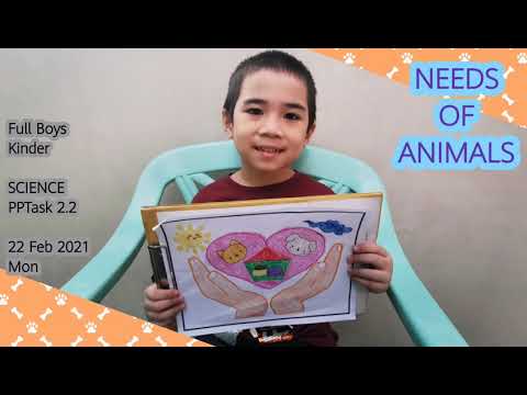 SCIENCE: Needs of animals