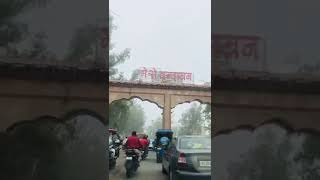 Chalo re man Shree virndavan Dham #vrindavan #chaloreviewkaren #shorts