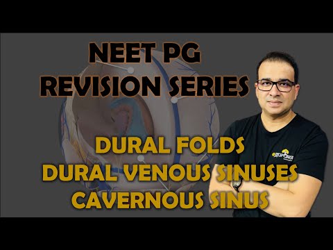NEET PG- DURAL FOLD, DURAL VENOUS SINUSES & CAVERNOUS SINUS