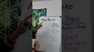 Brain, Heart, Gut... use the process. MindRewire