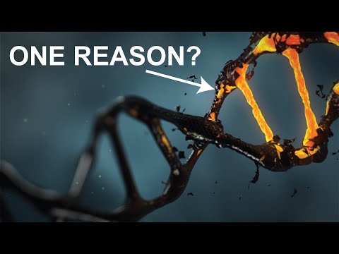 Why Do We Age?