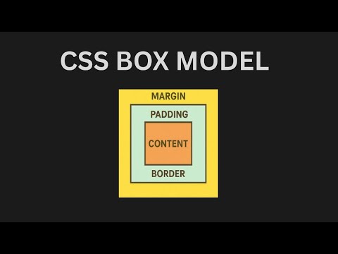 CSS Box Model EXPLAINED