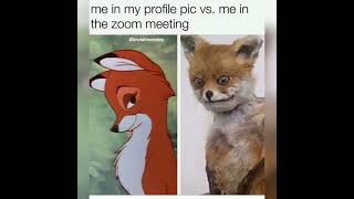 funny memes #20#memeking