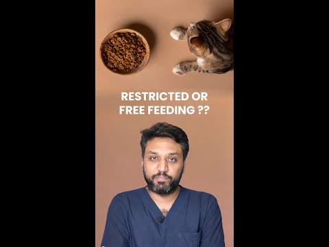 Cat Feeding Tips with Dr. Asfandyar | My Pet Hospital  #CatFeeding #PetCare #MyPetHospital