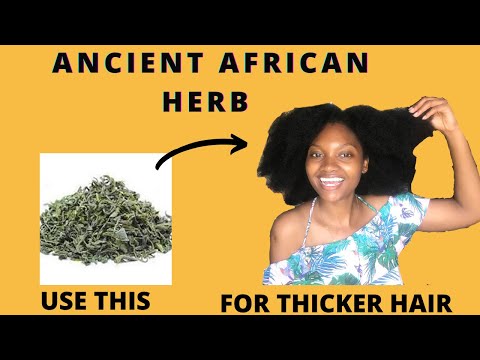 THICKEN YOUR HAIR WITH THIS AFRICAN HERB| Ambunu Herb for Detangling Natural 4c Hair| Nemi Effy