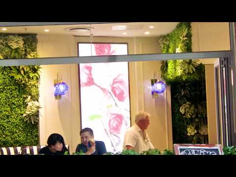 Sally Williams - Melrose Arch