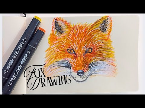 Fox Drawing with Markers 🦊 – Markerla Tilki Çizimi  🧡  #foxdrawing #markerart 
