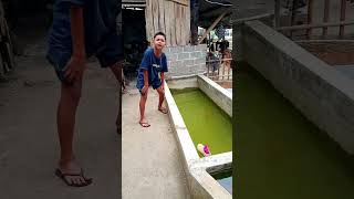 chicken on a boat #news #art #love #comedy #comedian #funny #reallyfunny #laughing out loud #real...