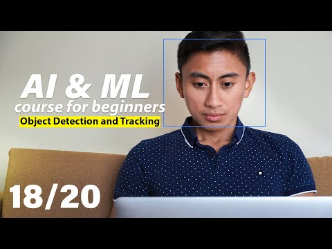 Object Detection and Tracking with TensorFlow and PyTorch | AI & ML Course for Beginners