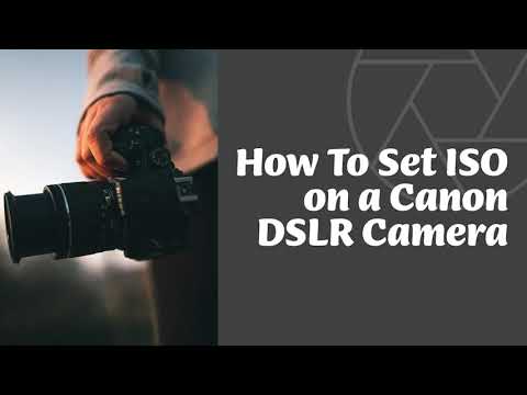 How to Set ISO on a Canon DSLR Camera