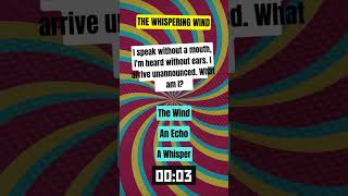 Riddle Quest: Embark on a Journey of Mystery! #riddles #riddlemaster