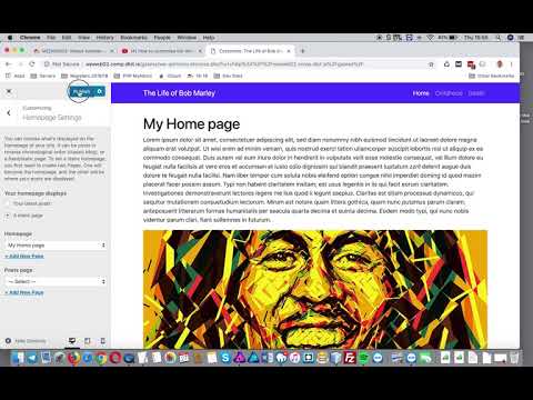 How to cusomise the theme and set a home page