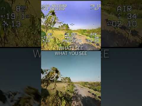 WHAT THE FPV DRONE PILOT IS SEEING #shorts #fpv