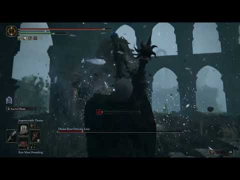 Hunting the Divine Beast Dancing Lion ( No blessings)
