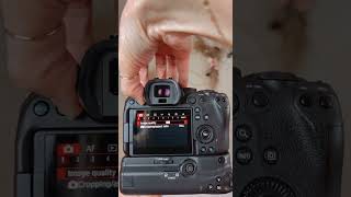 How to get sharp photos on your Canon R6 #bokehbiz #camerasettings #photographytips