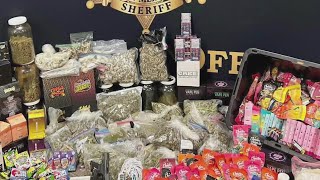 Lea County officials arrest alleged magic mushroom dealer during drug bust