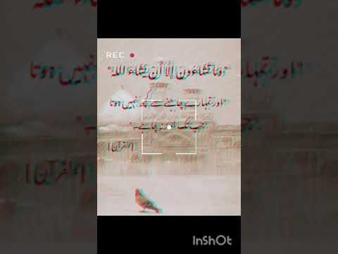 "The Quran's Gentle Reminder" #quranrecitation #quran #quranicverses #sakoonedill