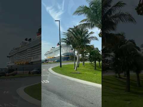 It never gets old 🚢 #disneywish #disneycruiseline