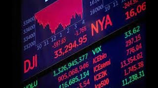 Stocks 101: A Beginner's Guide to Understanding the Market