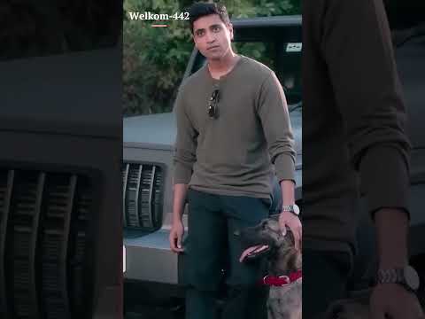 Oh Adige Adige Pranam Adige - Hit2 | AdiviSesh | Meenakshi Chaudhary | SidSriram | Shorts