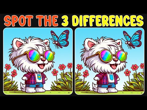 Spot The Difference : Can You Spot 3 Differences? | Find The Difference #07