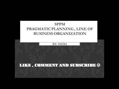 PRAGMATIC PLANNING , LINE OF BUSINESS ORGANIZATION