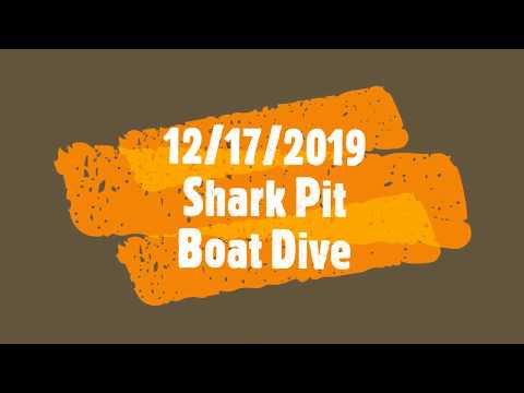 Dive - Guam - 12-17-2019 - Shark Pit