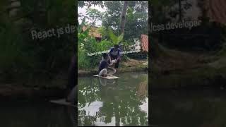 Hilarious Coding Memes That Every Programmer Will Relate To! #coding #webdevsimplified #webdesign