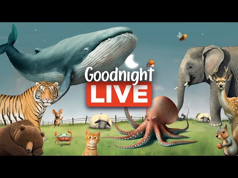 Relaxing Sleep Stories For Babies & Toddlers 💤👶