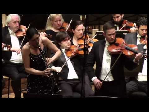 Max Bruch - Concerto for Clarinet, Viola and Orchestra, op. 88 - II. Allegro moderato