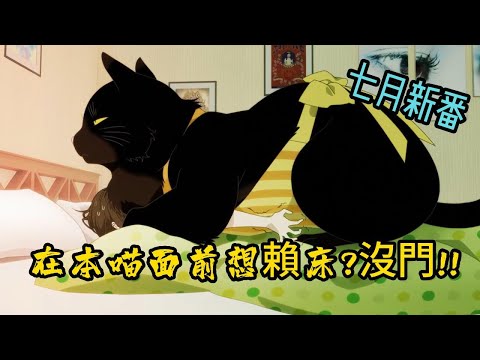 七月新番《能幹猫今天也憂鬱》，會做家務做飯應有盡有的大猫猫，誰能不喜歡!!大貓貓照顧主人受的了嗎!!