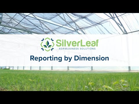 Mastering Cannabis Operations Part 1: Five Steps to Financial Success - Reporting by Dimension