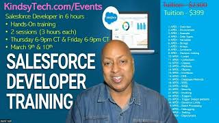 Salesforce Developer Training 6hours