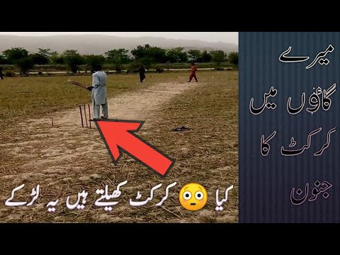 Gully Cricket With My Friend Very Interesting Video To Watch
