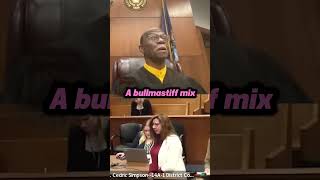Judge Simpson’s soft side comes out with former substance abuser