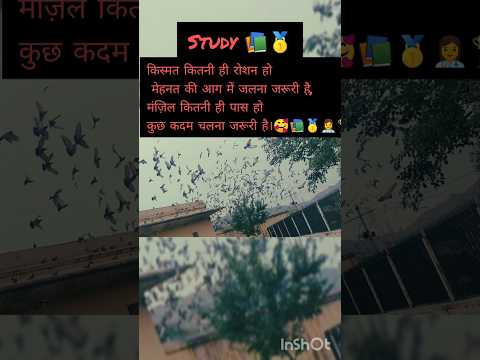 Mehnat kar ak din sb milega#motivation #shortvideo #love #trending #helthbenefits #minivlog #viral