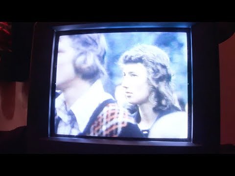 Current Joys - Fox