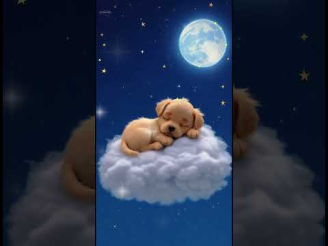 Música relajante para estudiar. Elimina el estrés. #músicaparadormir #pianomusicworking #cute