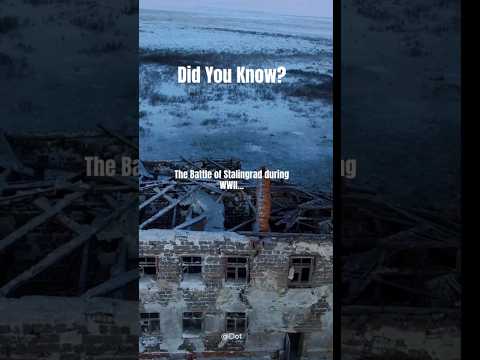 Untold Truths of the Battle of Stalingrad | WW2 Historical Facts Revealed!#facts #history  #shorts