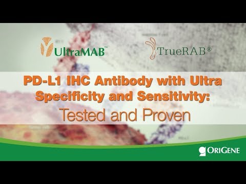 PD-L1 IHC Antibodies with  Ultra Specificity & Sensitivity: Tested and Proven