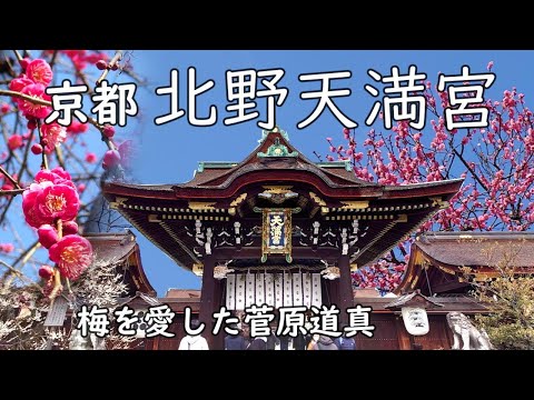 [Kitano Tenmangu Shrine] The Life of Michizane and a Journey of Plum Blossoms