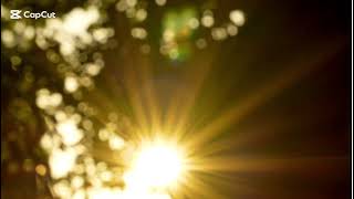 Golden Sunlight TV Wallpaper – Silent Background 3 Hours (1080p)