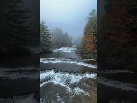Wiscoy Falls, Bridge View, Wiscoy NY 🌉