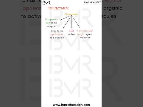 Coenzymes in short | Enzymology | Biochemistry